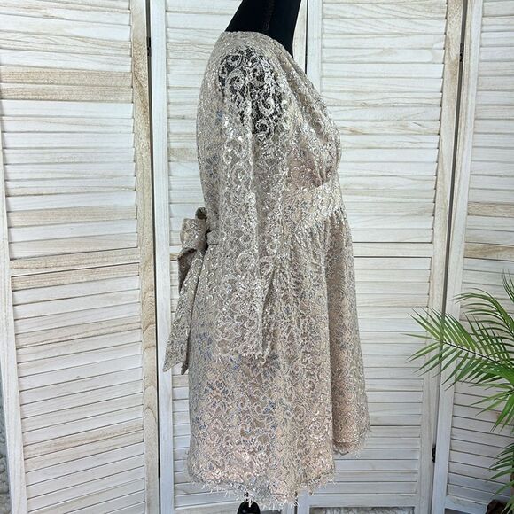 Corey Lynn Calter Anthropologie Metallic Lace Skater Mini Dress XS - Picture 6 of 13